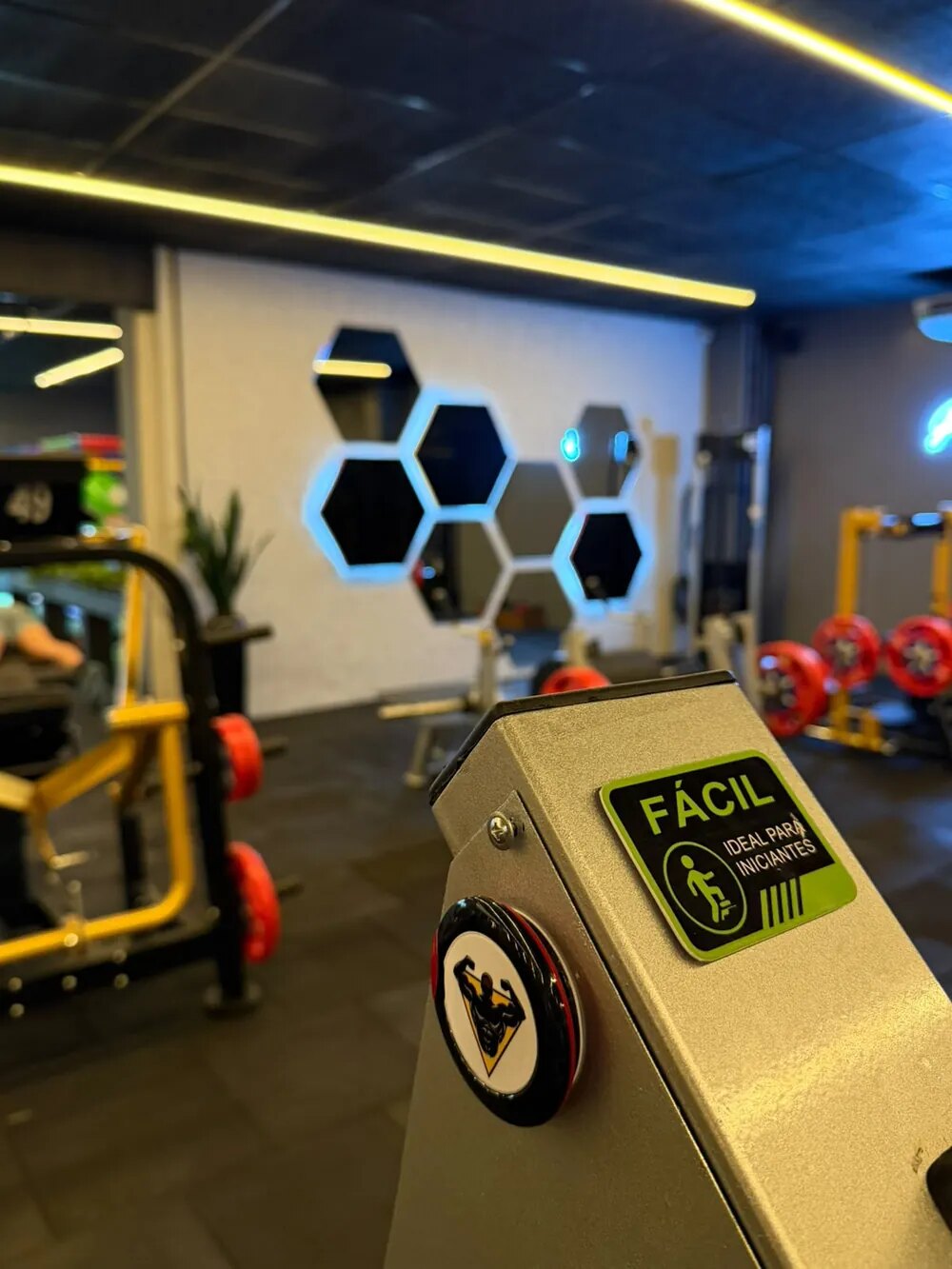 Treino funcional